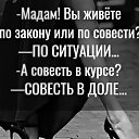  Stella, , 60  -  16  2024    