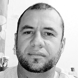 �������, �����-���������, 44 ����