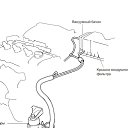 ���� Genius, ������, 30 ��� - ��������� 27 ������� 2023 � ������ ���� ����������