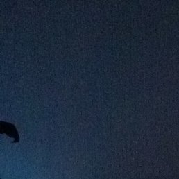 ����, ������, 64 ����