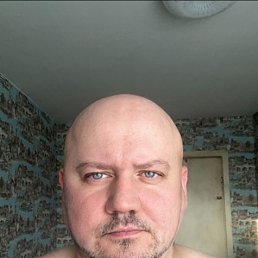 ������, 41 ���, �����������