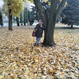 ����������, ��������, 71 ���