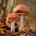 ���� �������, ������������, 67 ��� - ��������� 4 ������ 2024 � ������ ������ ��������