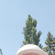 Roman, 62 ����, ������