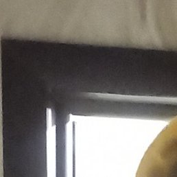 ��������, ���������, 44 ����