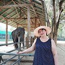 ������ � ��������!!!