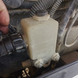 ���� ����, �����, 42 ���� - ��������� 19 ��� 2024