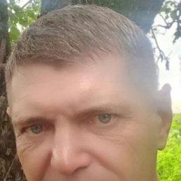 ����, ������, 41 ���