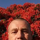 ���� Anton, �������, 64 ���� - ��������� 5 ������ 2026 � ������ ���� ����������