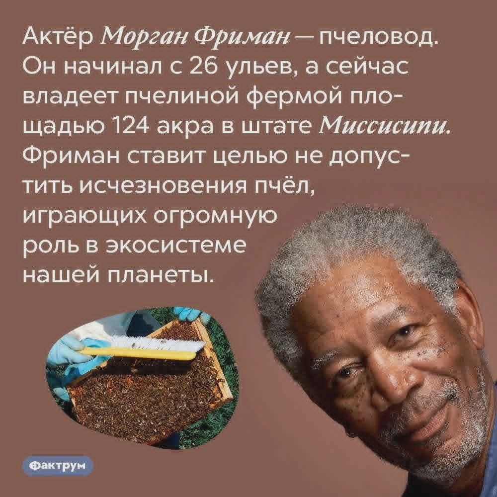 :) ��������� ������������ ����� ������ ������ ��������� ���� ����� � ����� ��������� � �������� ...