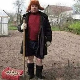, 52, 