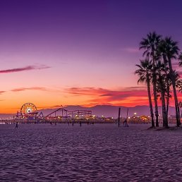 �������, ������, 37 ���