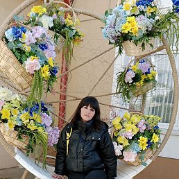 ���� ���������, �����������, 39 ��� - ��������� 3 ������ 2026