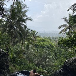 ���� ������, �����-���������, 33 ���� - ��������� 29 ����� 2026