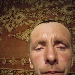 , 41 , 