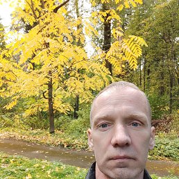 ������, 49 ���, �����