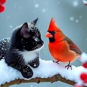 ���� Oleg, ������������, 47 ��� - ��������� 25 ������� 2025 � ������ ���� ����������