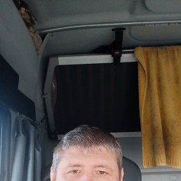 , 41, 