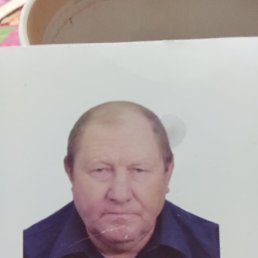 , 62, 