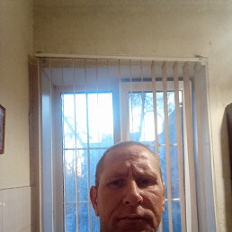 ������, 38 ���, ����