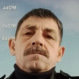 �����, �����������, 54 ����