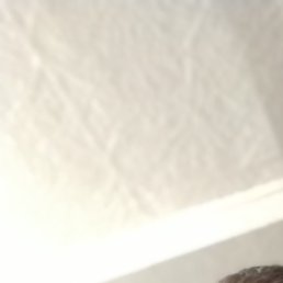 �����, �����������, 51 ���