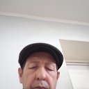���� ���������, �����, 40 ��� - ��������� 22 ����� 2024 � ������ ���� ����������