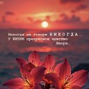 ���� �������, ������, 52 ���� - ��������� 21 ������ 2025 � ������ ���� ����������