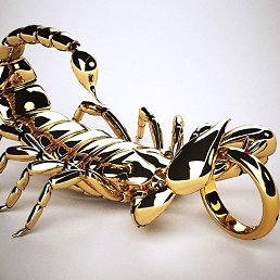 ����, �����-���������, 55 ���