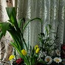 ���� �����, ��������� - ��������� 9 ����� 2026 � ������ ���� �������...���� ���� ���������