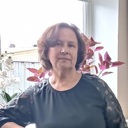 �����, ���������, 66 ���