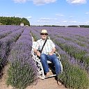28.06.2026. �� ������� ���� ����������