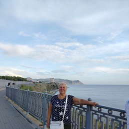 , 66, 
