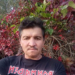 , 54, 