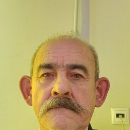 , 61 , 