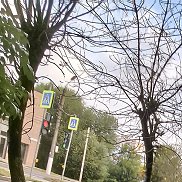 ����, 20 ���, �����