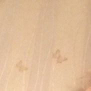 ���������, 63 ����, ������