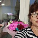 ���� ��������, ���������, 54 ���� - ��������� 17 ���� 2026 � ������ ���� ����������
