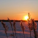 ���� ���������, ���������� - ��������� 12 ������ 2026 � ������ ������ ��������