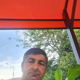 , 40 , 