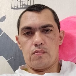 �������, ������-��-����, 41 ���