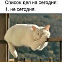 ���� ������, ������, 62 ���� - ��������� 8 ������ 2026 � ������ ������ ��������
