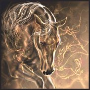 �������, 53 ����, ������