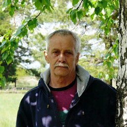 , 65, 