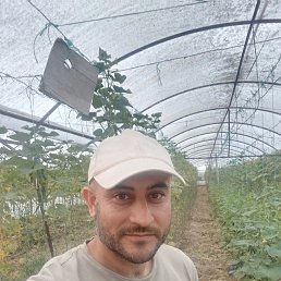 ���� Mustafa, �������, 39 ��� - ��������� 13 ������ 2026