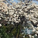 ���� ���������, ������ - ��������� 6 ������ 2025 � ������ ���� ����������