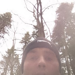 ����� ���������, 33 ����, ����