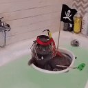 ���� ����� ���� - �����������, ���, 41 ��� - ��������� 2 ������� 2025 � ������ ���� ����������