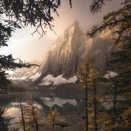 Alisa, �����, 84 ����