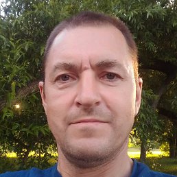 ������, ������, 56 ���